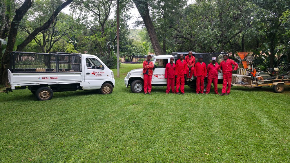 Team member 1