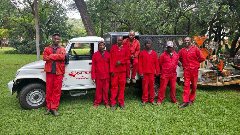 Team member 2